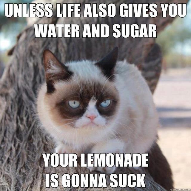 grumpy-cat-lemonade.jpg